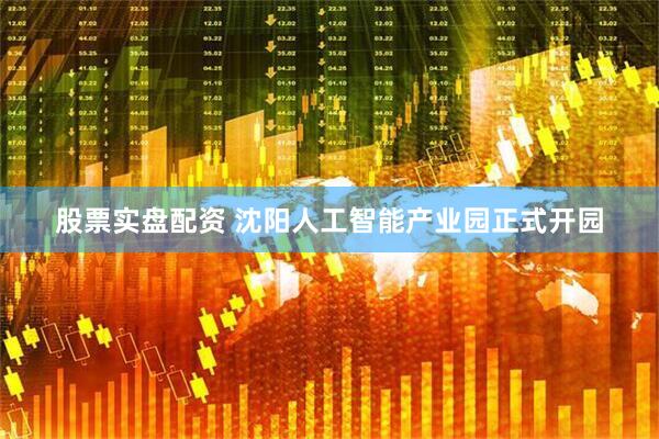 股票实盘配资 沈阳人工智能产业园正式开园