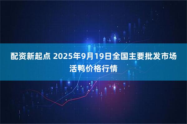 配资新起点 2025年9月19日全国主要批发市场活鸭价格行情
