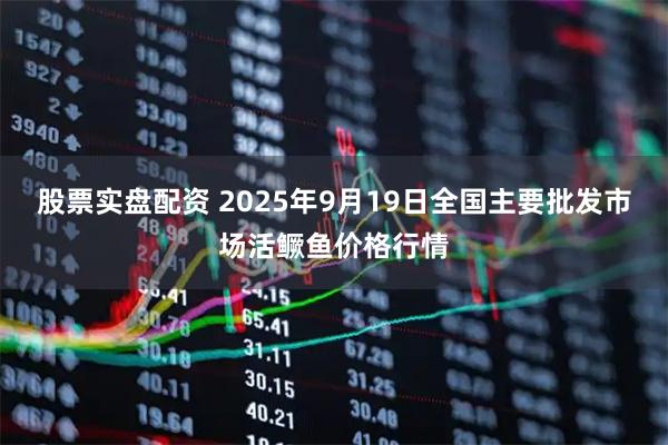 股票实盘配资 2025年9月19日全国主要批发市场活鳜鱼价格行情