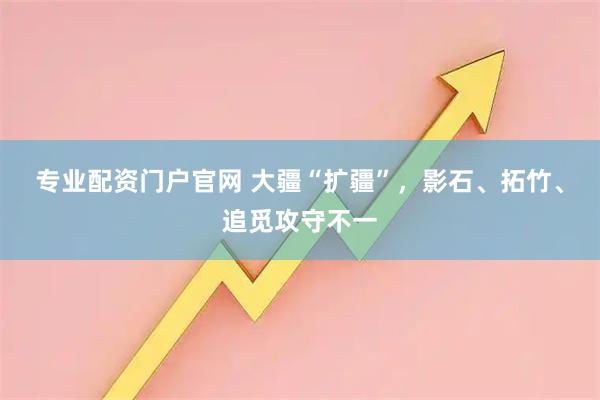 专业配资门户官网 大疆“扩疆”，影石、拓竹、追觅攻守不一